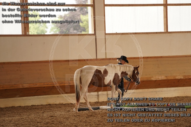 s_A_901253.JPG
